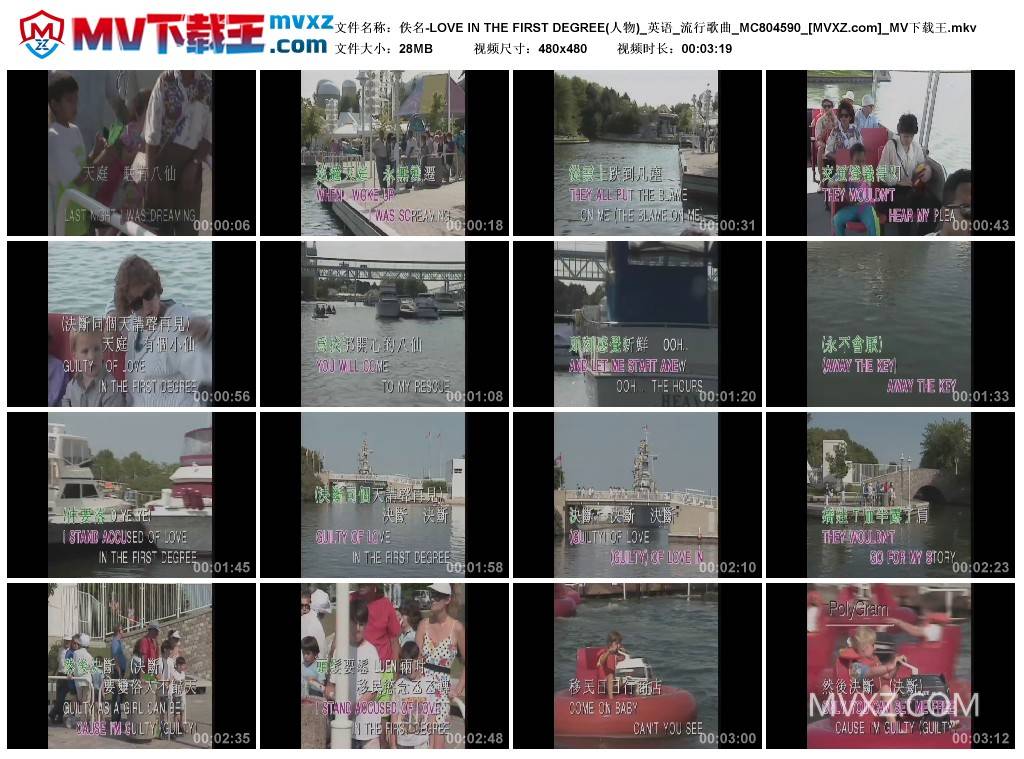 佚名-LOVE IN THE FIRST DEGREE(人物)_英语_流行歌曲_MC804590